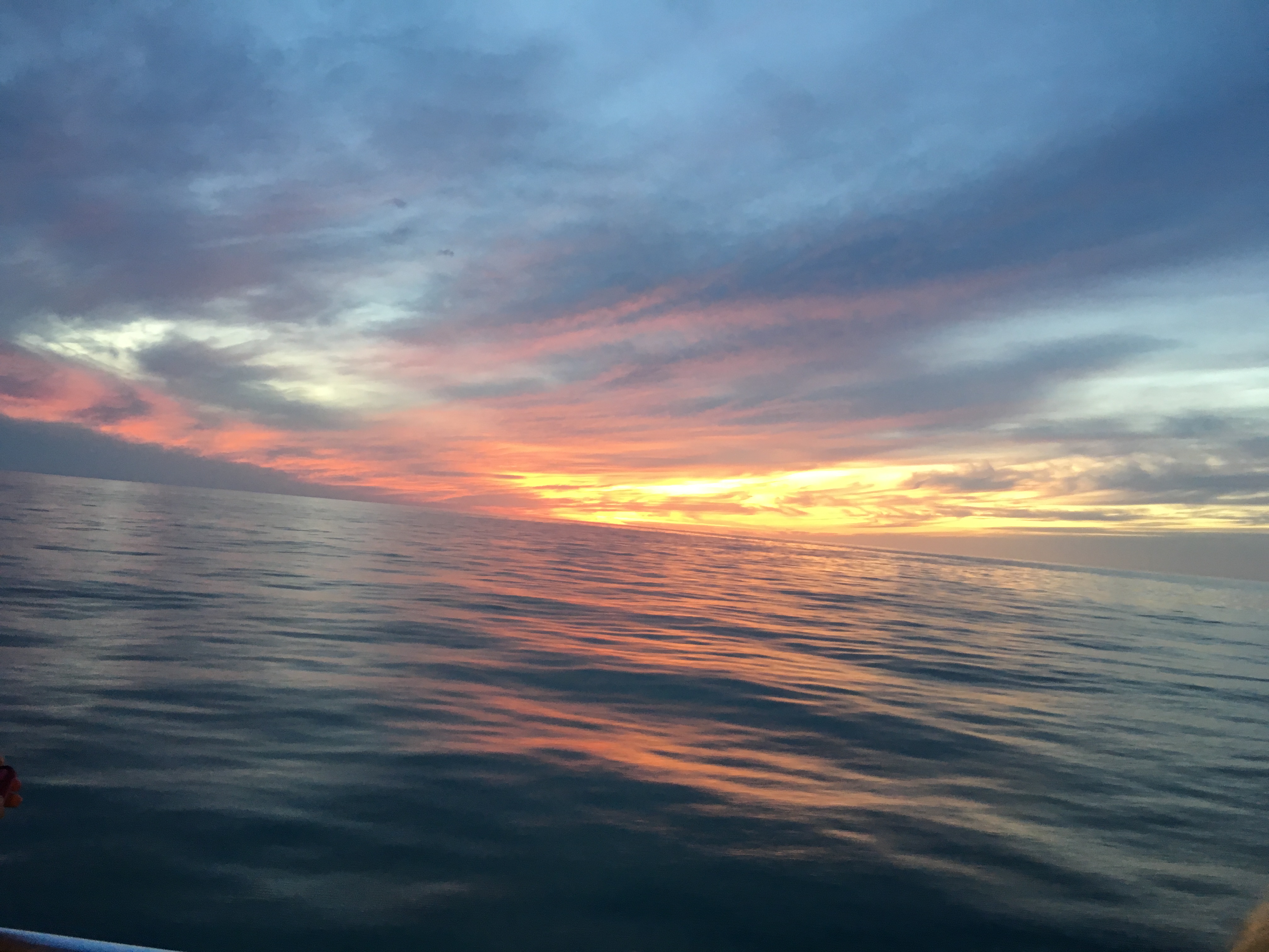 Ft Meyers Sunset